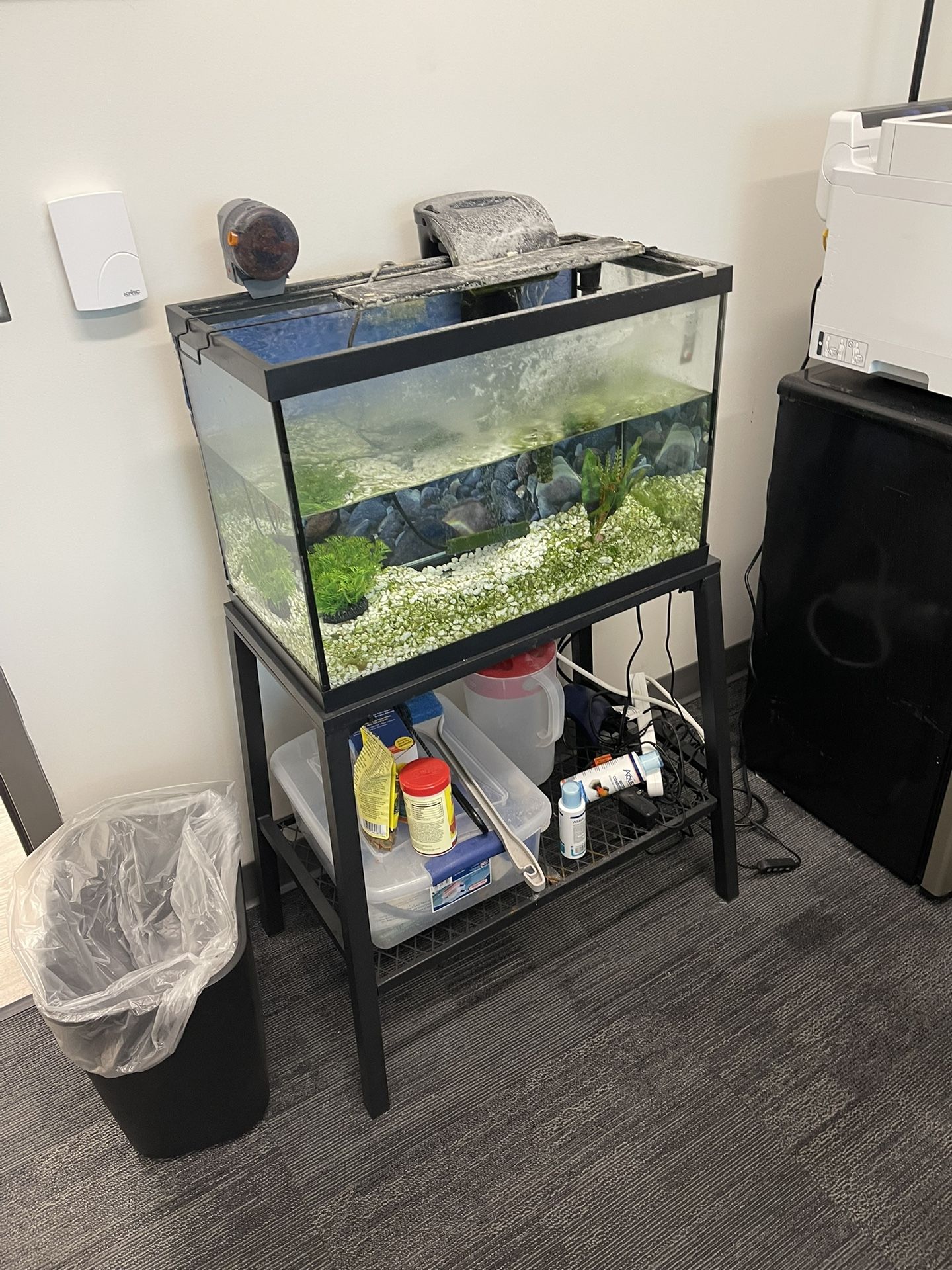 20 gallon Aquarium With stand