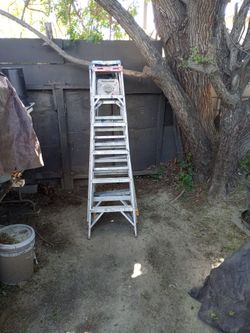 3 Escaleras 6ft
