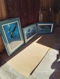  Three Artist Signed  Large Whale Framed Prints, Very Good Pre Owned Condition.
