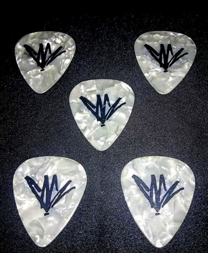 Rare- 2010 Soundgarden Guitar ๐ธ Pics