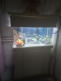 Fish Tank