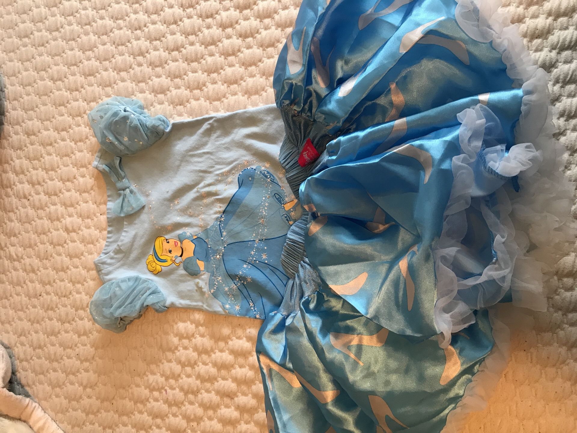 Disney Cinderella shirt and tutu.