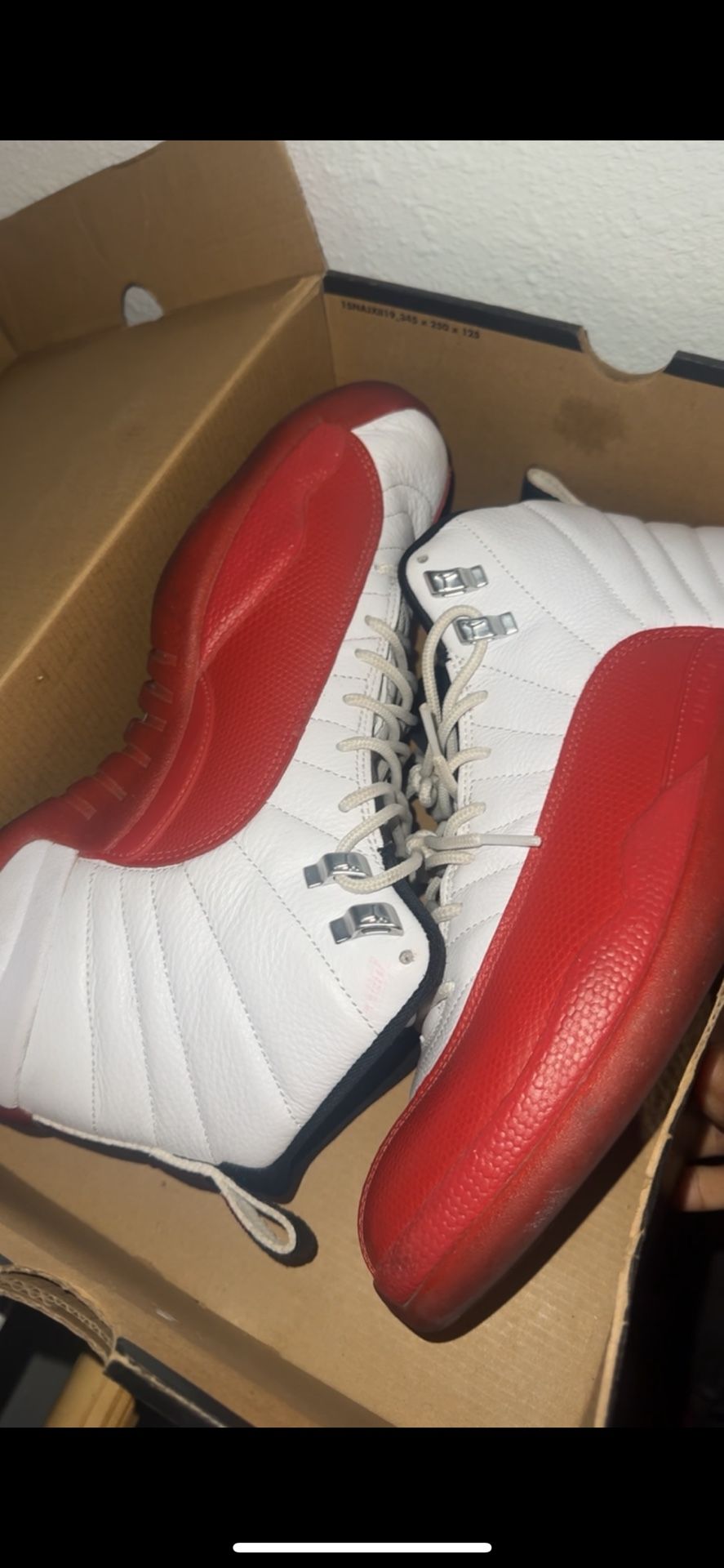 Air Jordan Cherry 12s