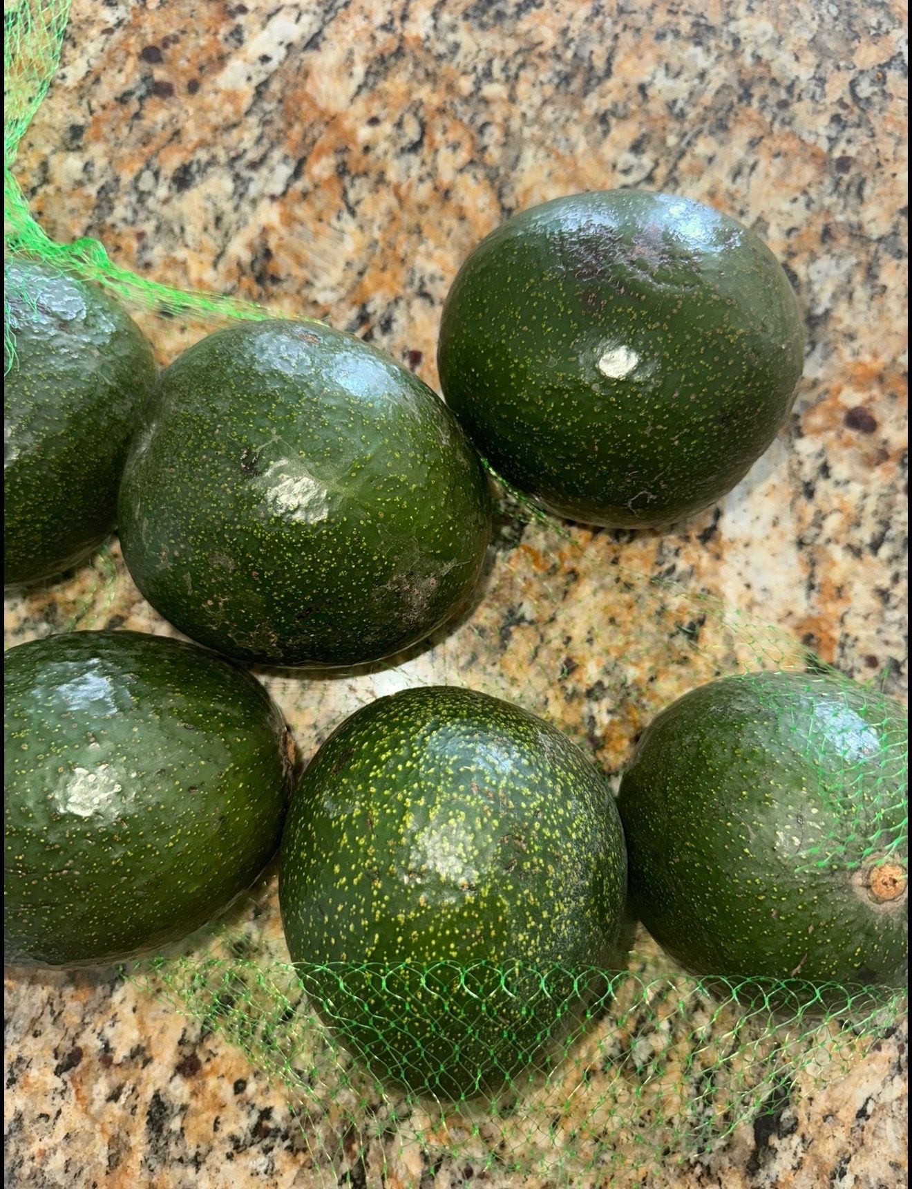 Aguacates