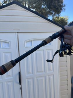 Phenix spinning rod