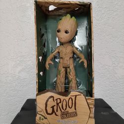 GROOT FLORDA COLOSSU
