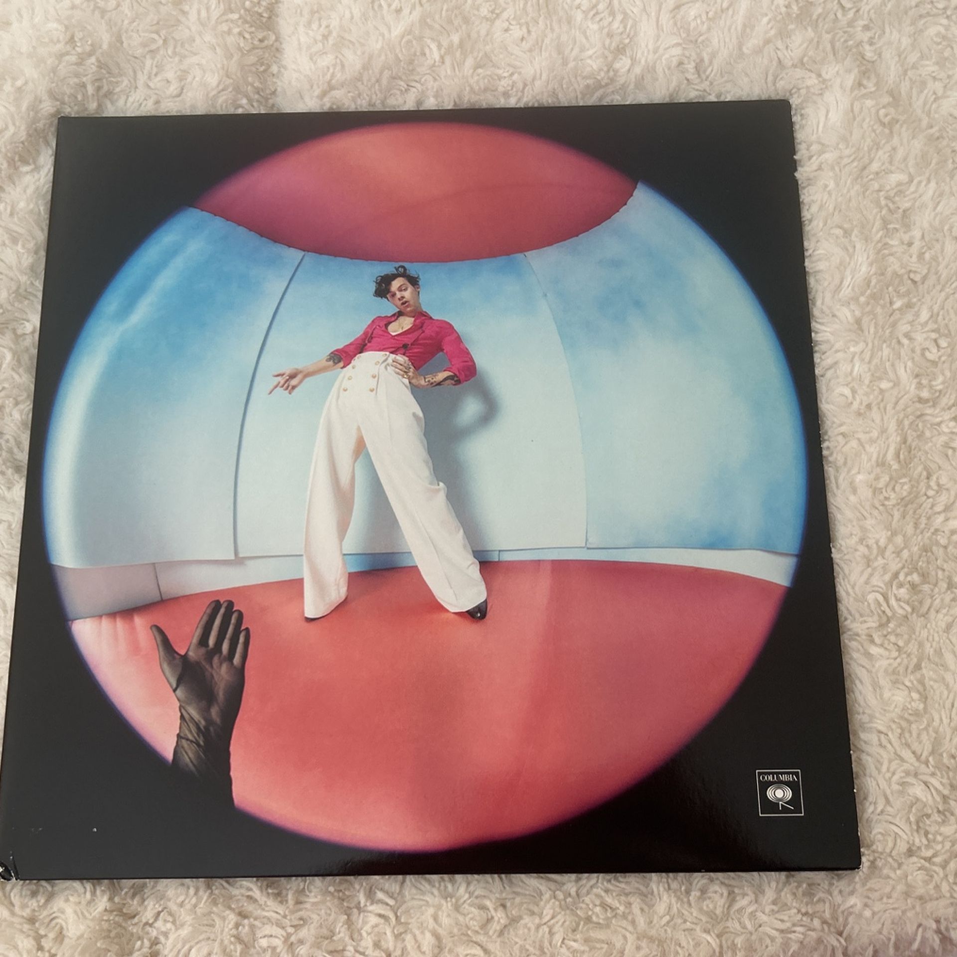 Harry Styles Record