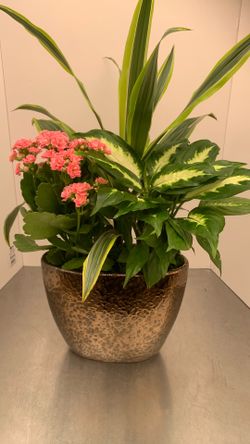 Arrangements w/copper color ceramic vase