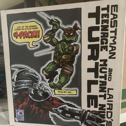 NINJA TURTLE 4 Pack