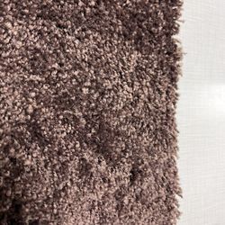 Brown Carpet