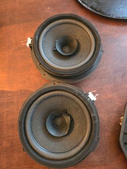 Speaker