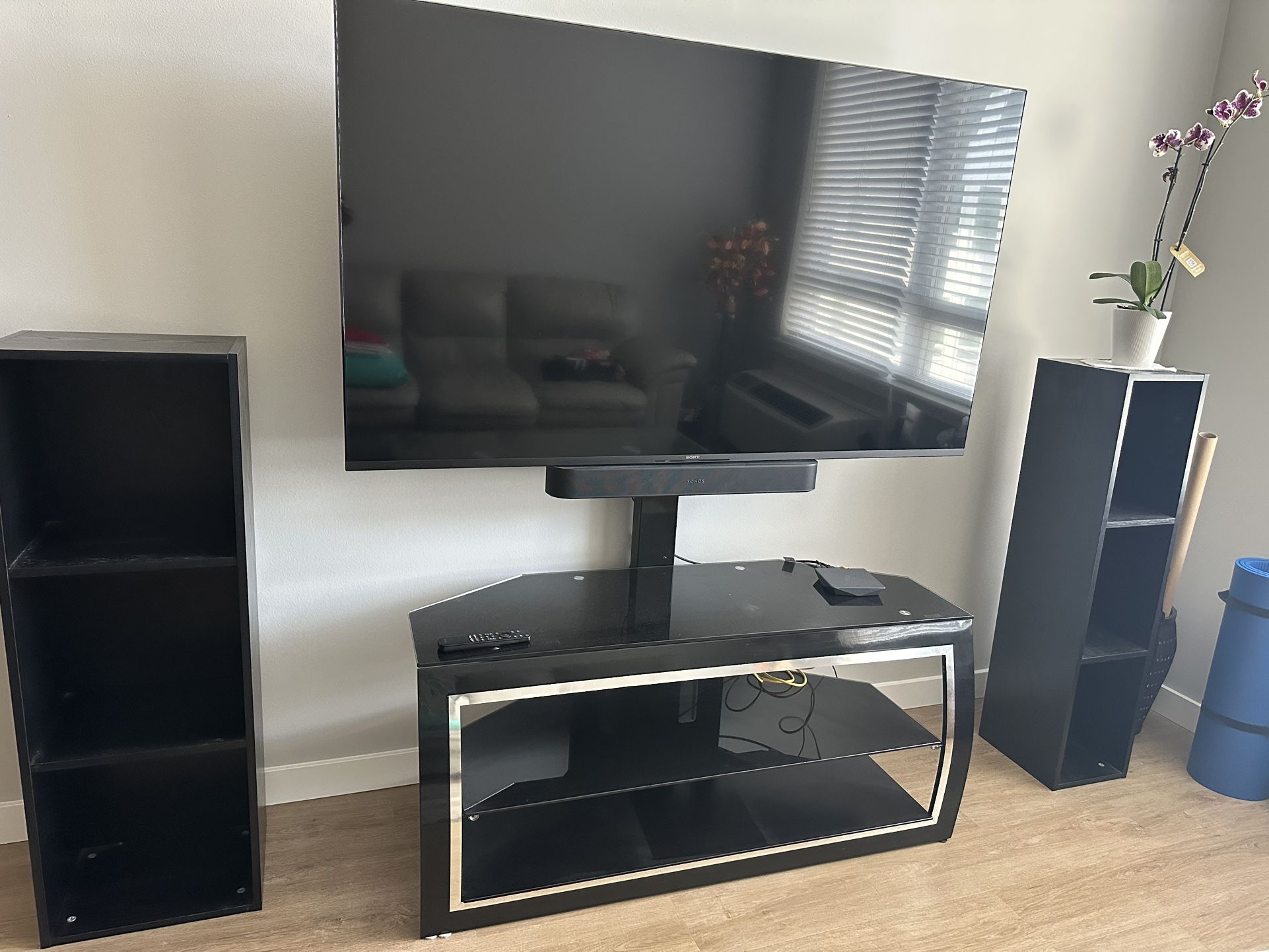 Sony Bravia TV