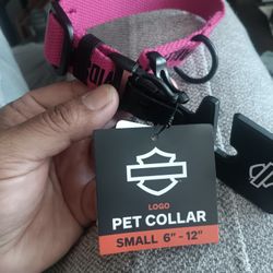 Harley Davidson Dog Collar 