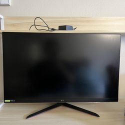 LG Monitor