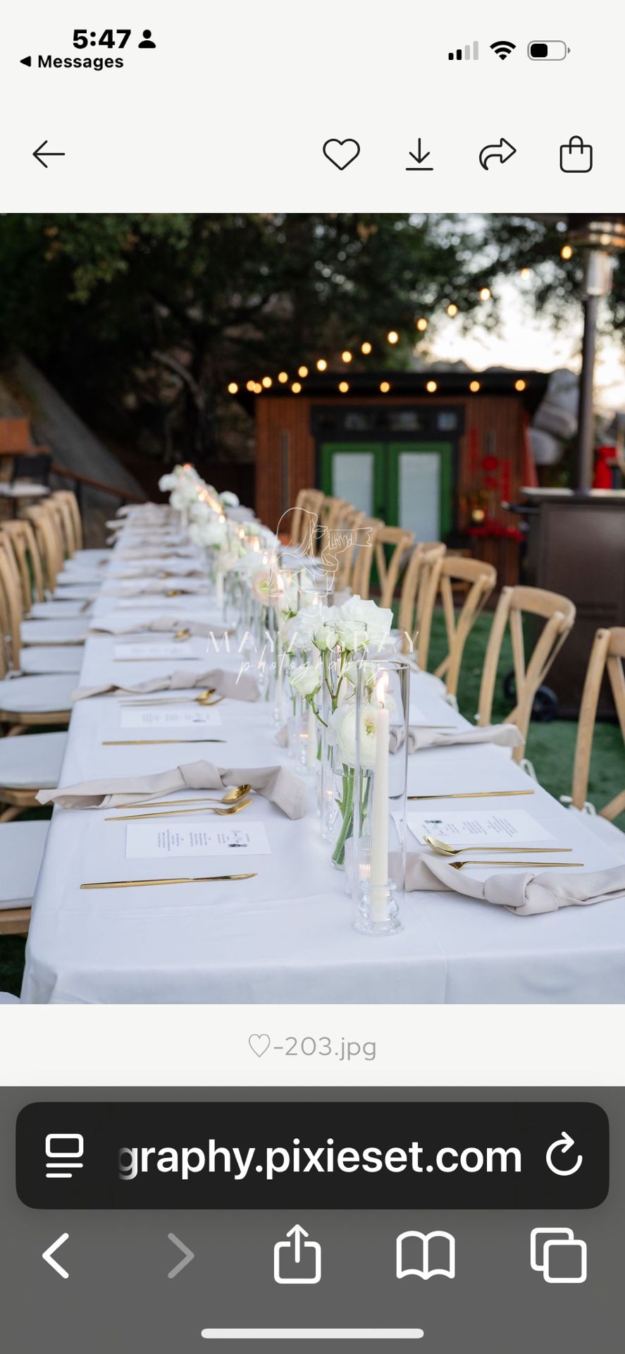 Ivory Table Cloth + Khaki  Napkins