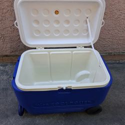 Cooler