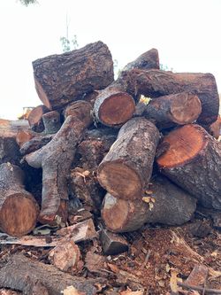 Oak firewood