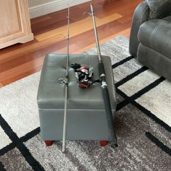 10 ft. Daiwa Rod,and Zebco Hawg  Seeker Reel.