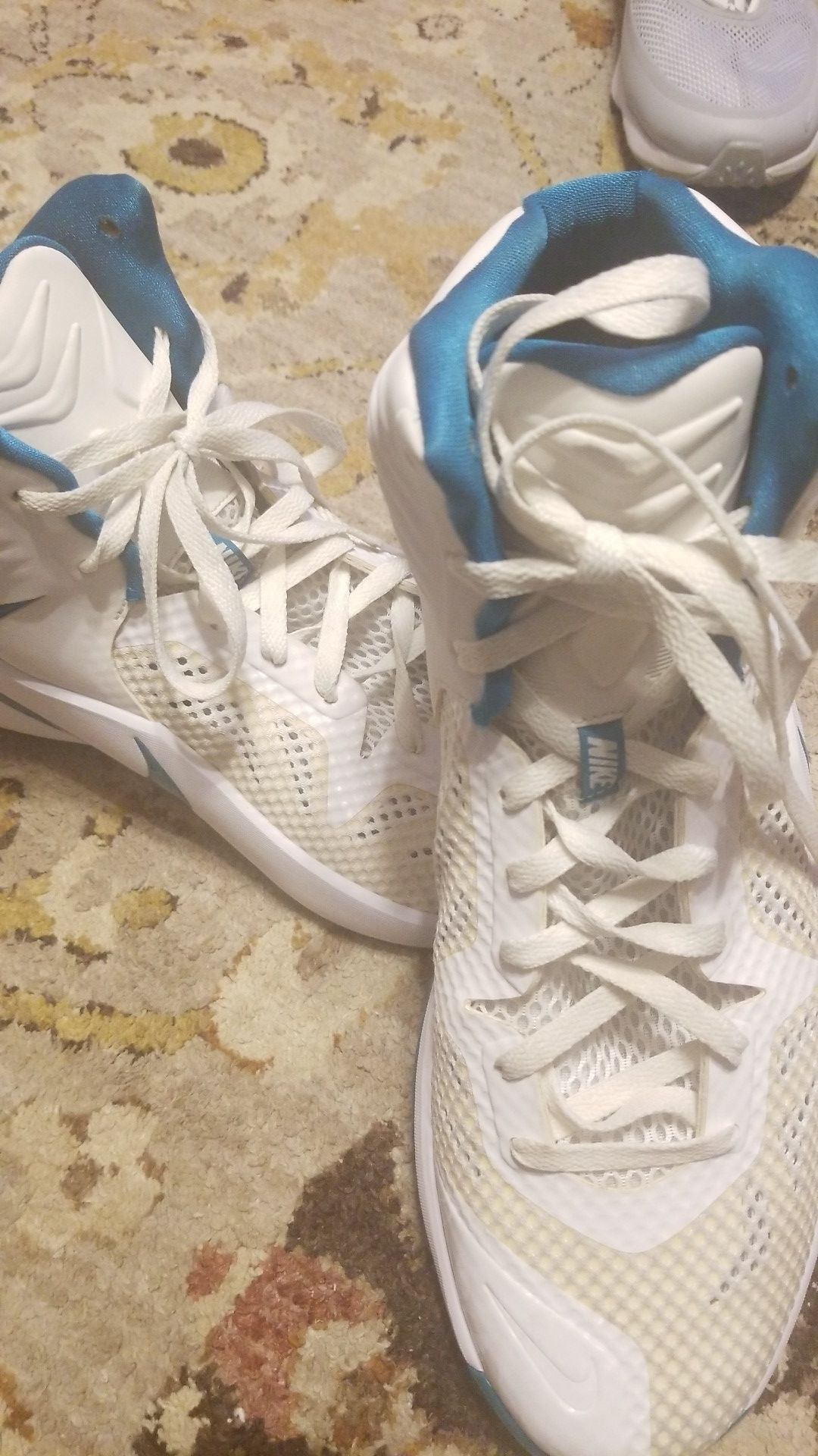Nike Zoom Hyperdunk Hightop