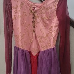 Sarah Sanderson Costume