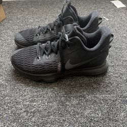 LeBron Nike Zoom V5 Size 11