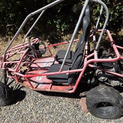 Dune Buggy Sand Dog