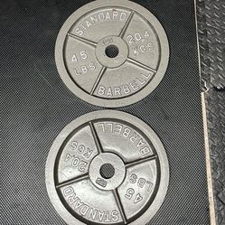 45lb Olympic Plates - CASH ONLY