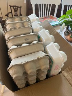 FREE EMPTY EGG Cartons