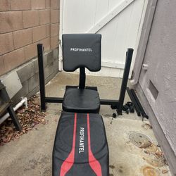 Dual Bench (adjustable Bench With Preacher Curl Arm Rest