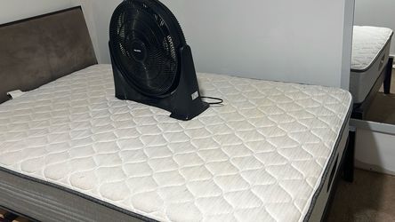 Queen Size Mattress