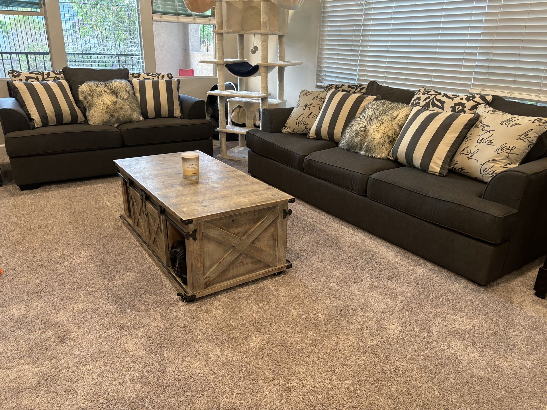 Pull Out Couch Set
