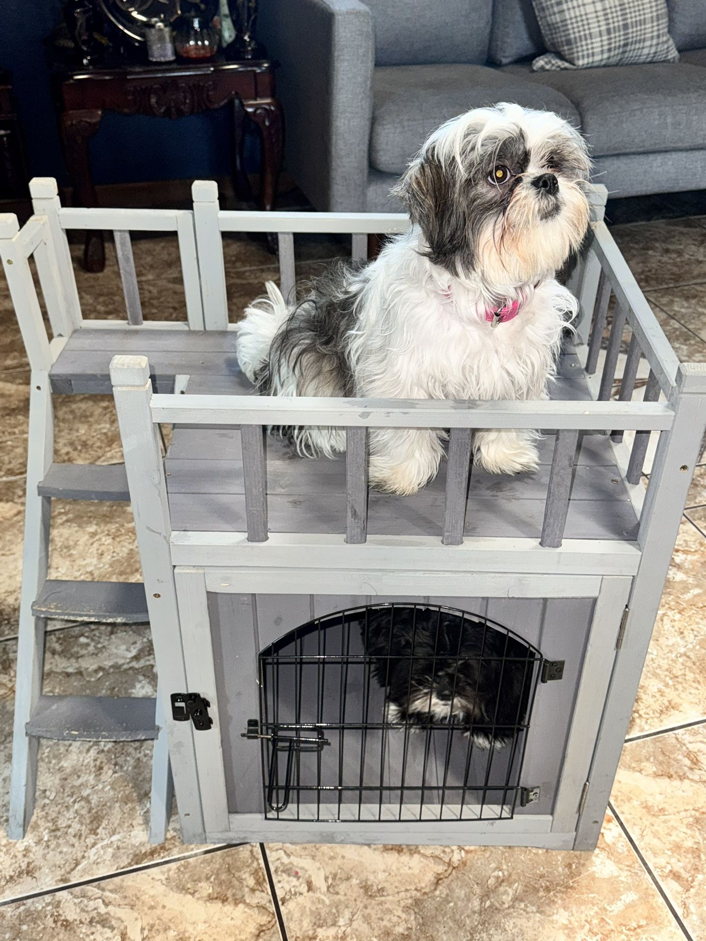 Dog House And Plate
