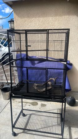 Bird Cage