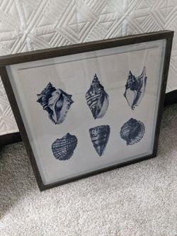 Ocean Sea Shell Framed Picture 