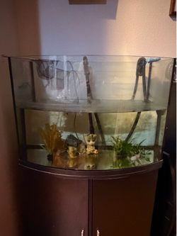 Axolotl Tank