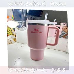 Stay Cool in Style with Stanley Cups in Multiple Shades role nor