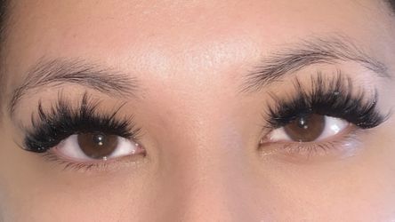 Lash Extension Supplies