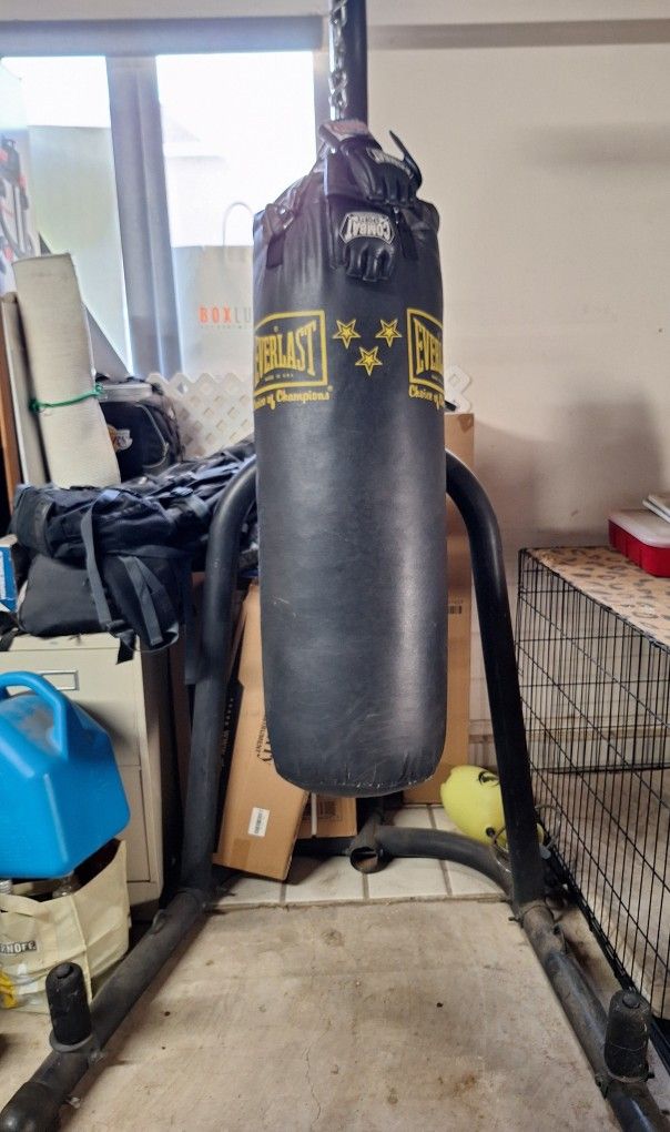 Everlast Punching Bag