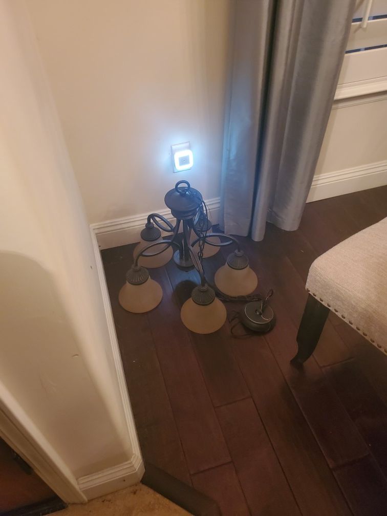 Light Fixture