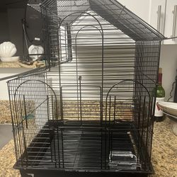 Bird Cage 