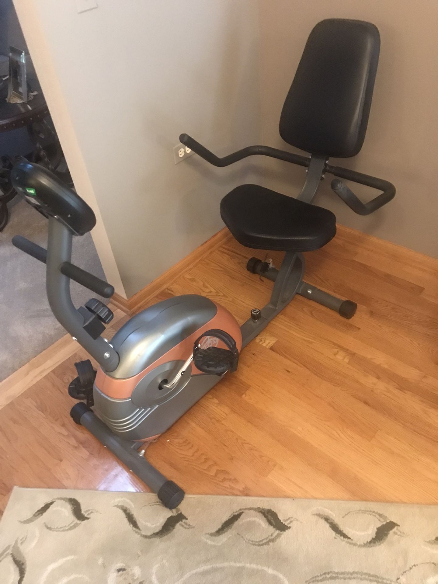 Recumbent Exercise Bike