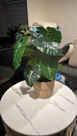 Artificial Plant Cute For Counter