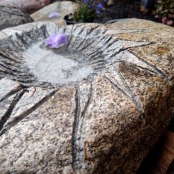 Bird Baths - #birdbathheaven