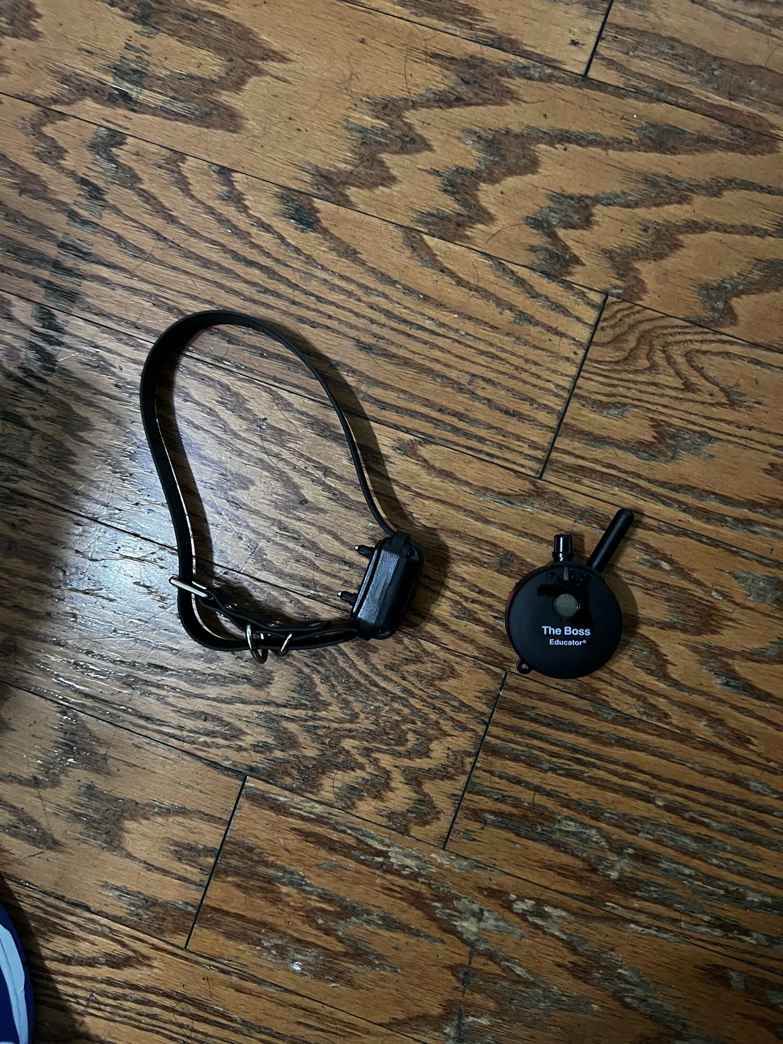 E Collar For Dog