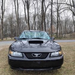 2004 Ford Mustang