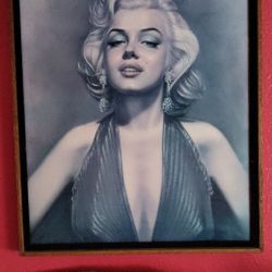 Marilyn Monroe Picture 