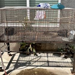 Bunny Cage