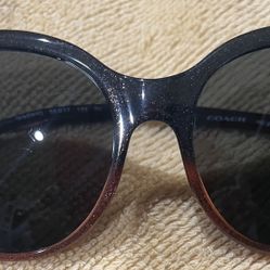 Women’s Coach Sunglasses 