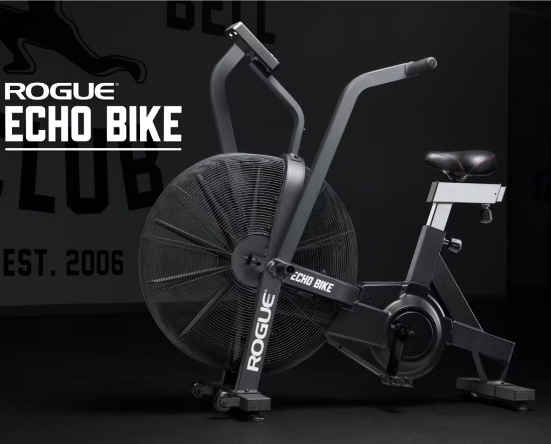 Rogue Echo Stationary Bike