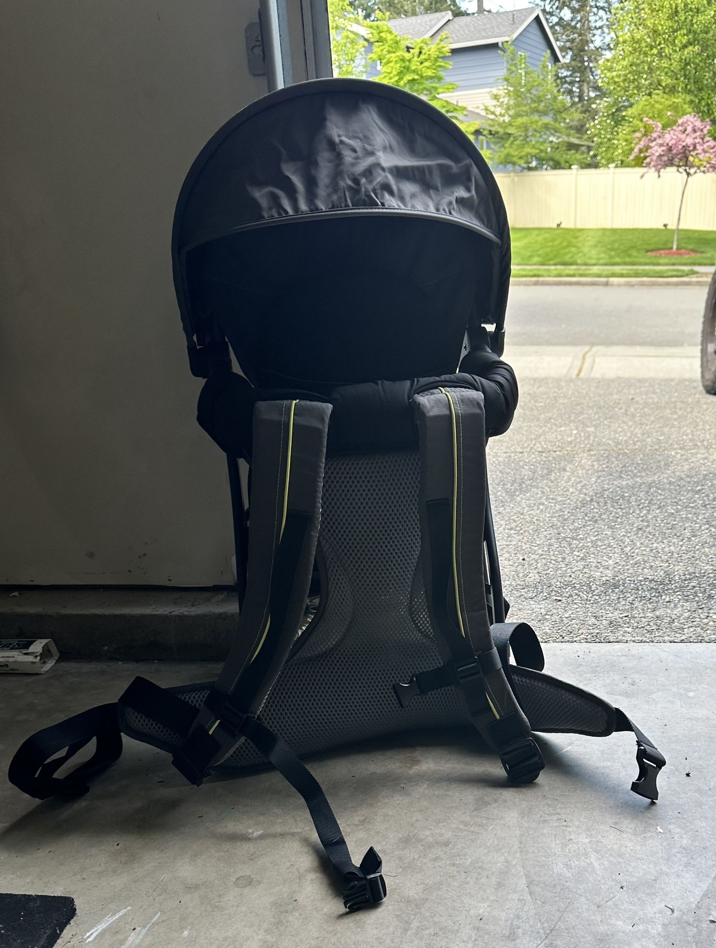 Backpack carrier